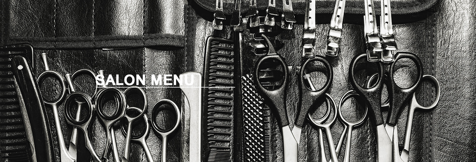 SALON MENU